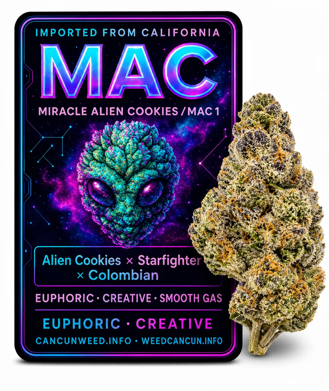 MAC — Miracle Alien Cookies